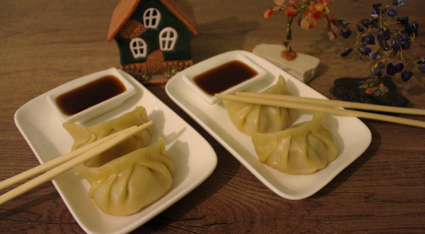 Japanese dumplings gedza