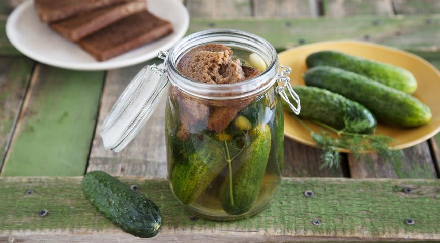 Pickling cucumbers with rye bread