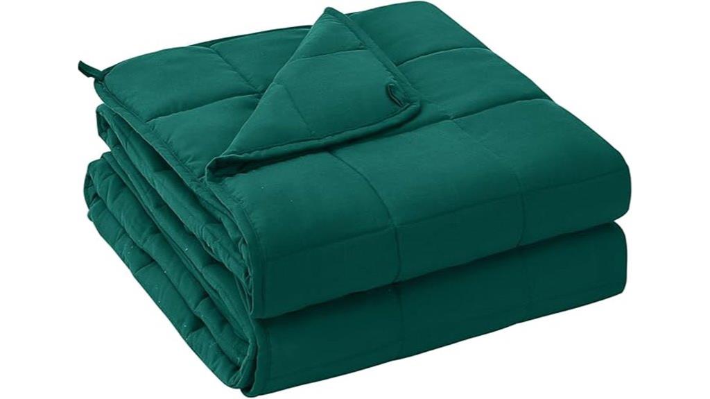 20 lb queen blanket
