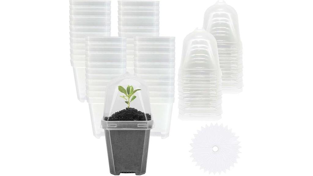 50 clear nursery pots