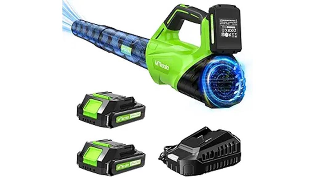 cordless leaf blower set