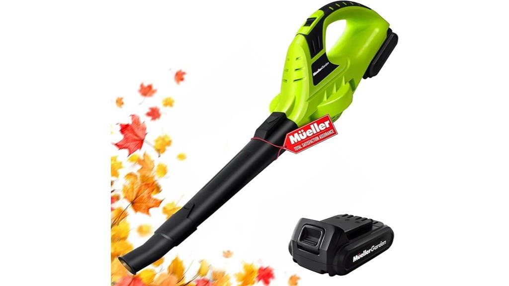 cordless snow leaf blower