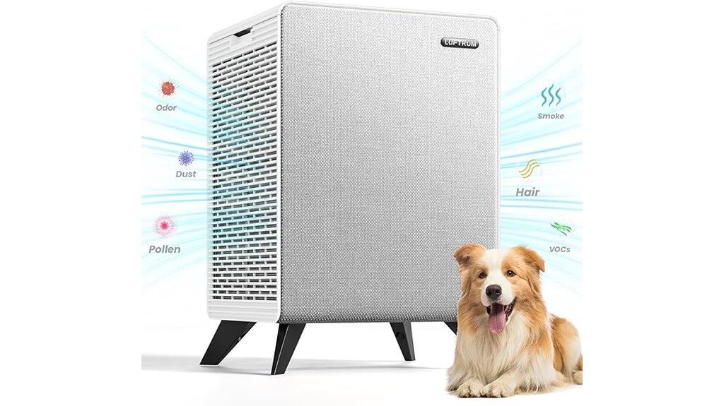 large room air purifier