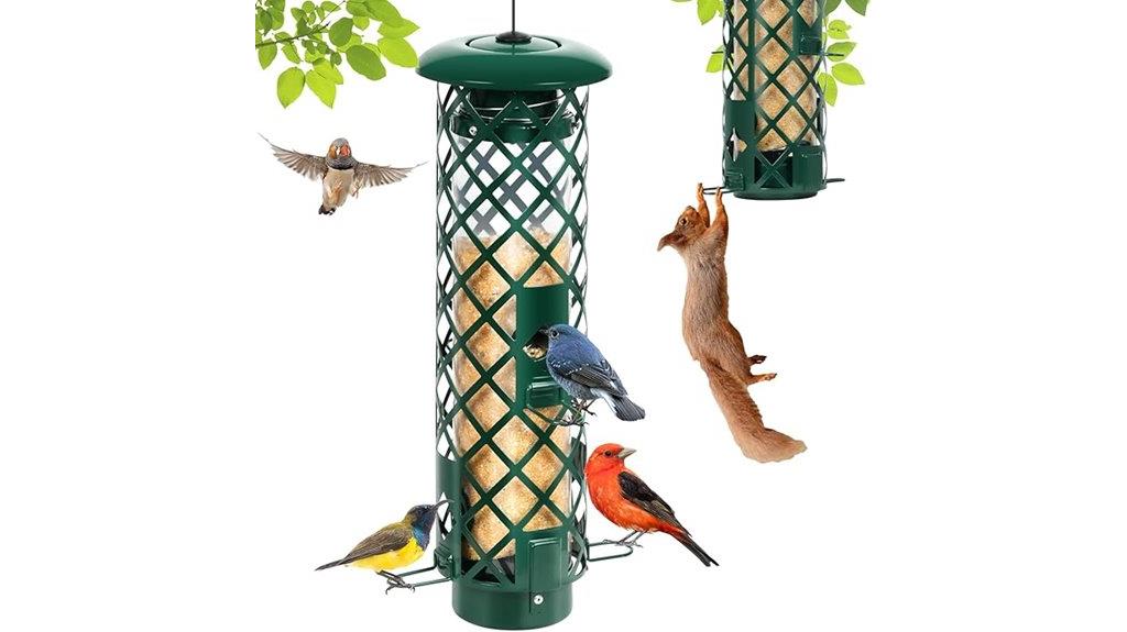 squirrel proof 3 lb feeder