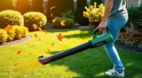 top cordless leaf blowers