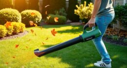 top cordless leaf blowers