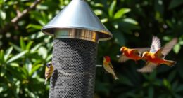 top squirrel proof bird feeders
