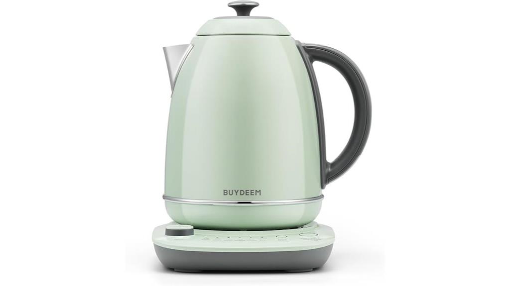 smart temperature controlled kettle