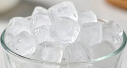 love for crunchy ice