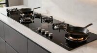 top cast iron induction burners
