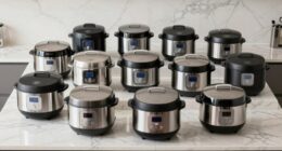 top commercial rice cookers