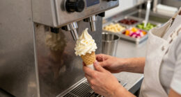 10 Best Soft Serve Machines for Frozen Desserts in 2026