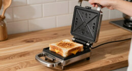 11 Best Panini Presses for Sandwiches in 2026