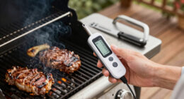 15 Best Wireless Thermometers for Grilling in 2026