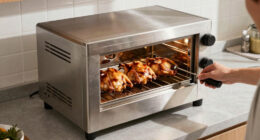 8 Best Best Rotisserie Ovens in 2026