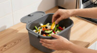 8 Best Indoor Compost Bins Electric in 2026