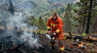 Wildfire Incinerates a ‘Hidden Gem’ in Utah’s Mountains