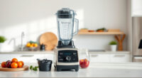 Best Vitamix Tamper in 2026: Top Accessories & Parts