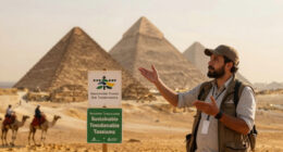 Egypt transforms Giza: ends camel rides and opts for a sustainable tourism model