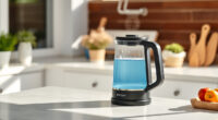 Stay Cool This Summer with the Ninja KT200BL Precision Electric Kettle