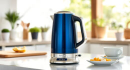 Stay Cool This Summer with Ninja KT200BL Precision Temp Kettle