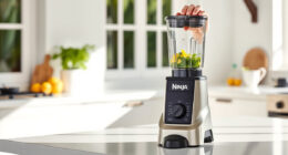 Stay Cool This Summer with the Ninja Blast Max Portable Blender