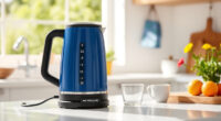 Summer Care Tips for Your Ninja KT200BL Electric Kettle
