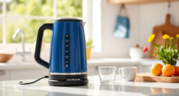 Summer Care Tips for Your Ninja KT200BL Electric Kettle