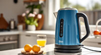 Summer Sips: Must-Have Accessories for Your Ninja KT200BL Electric Kettle
