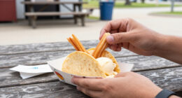 Taco Bell Churro Ice Cream Taco